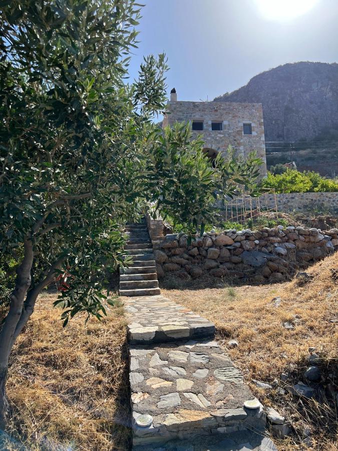 Pogonitsa Daire Kotronion  Dış mekan fotoğraf