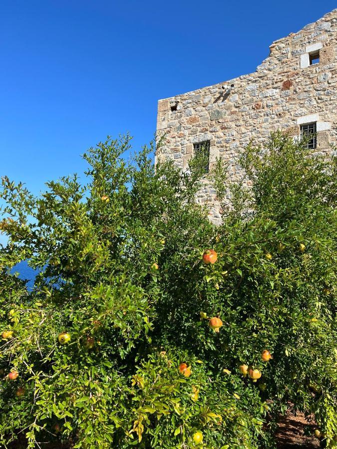 Pogonitsa Daire Kotronion  Dış mekan fotoğraf