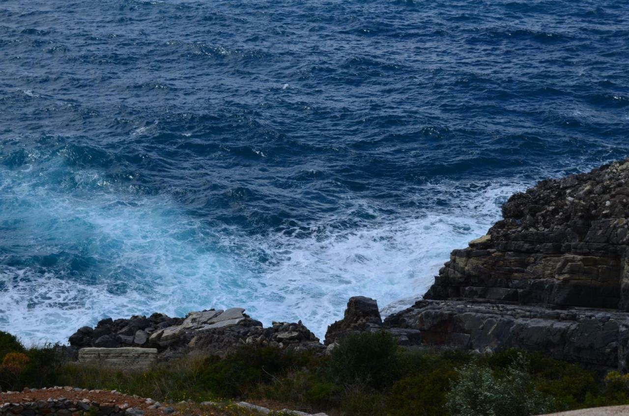 Pogonitsa Daire Kotronion  Dış mekan fotoğraf