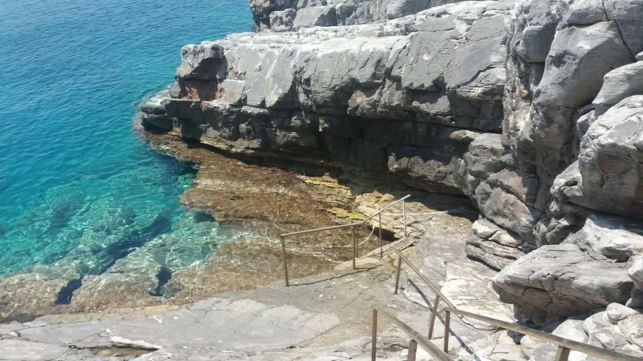 Pogonitsa Daire Kotronion  Dış mekan fotoğraf