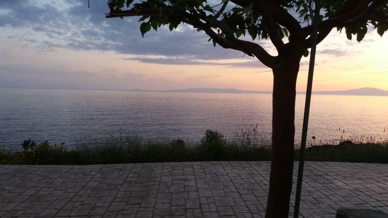 Pogonitsa Daire Kotronion  Dış mekan fotoğraf