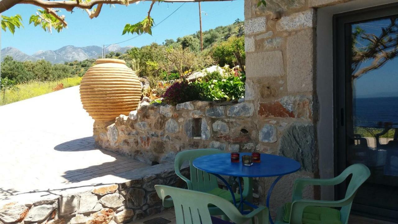 Pogonitsa Daire Kotronion  Dış mekan fotoğraf