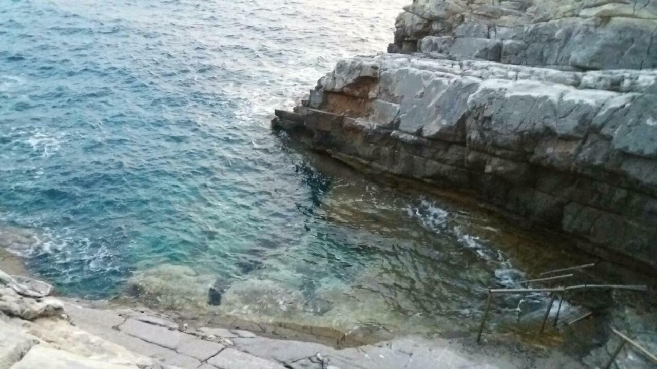 Pogonitsa Daire Kotronion  Dış mekan fotoğraf