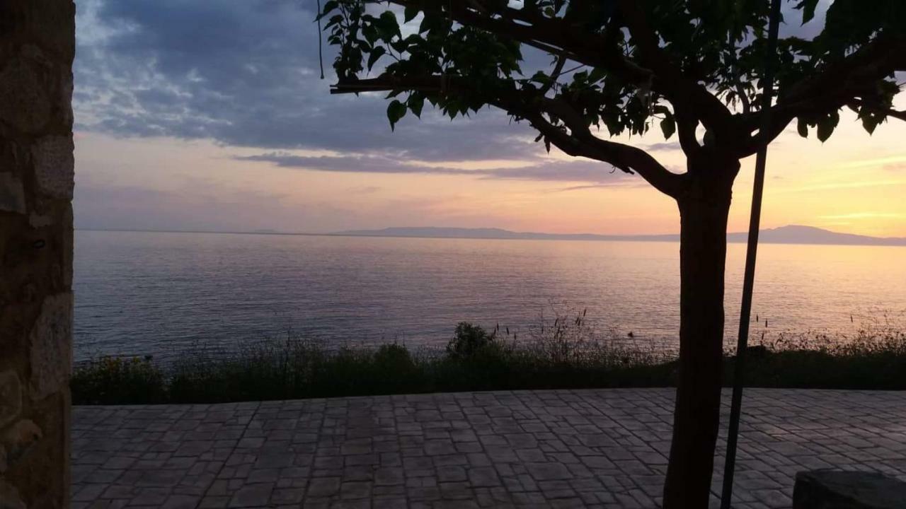 Pogonitsa Daire Kotronion  Dış mekan fotoğraf